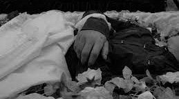 Если на вас напали собаки: старинный ритуал и почему он работает